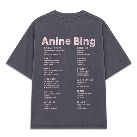 Anine Bing Cade Tee Smiley T-shirt, Washed Grey