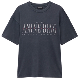 Anine Bing Cade Sport Club T-shirt, Washed Black